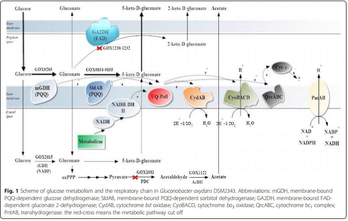 172906912527661317.png 图片32.png