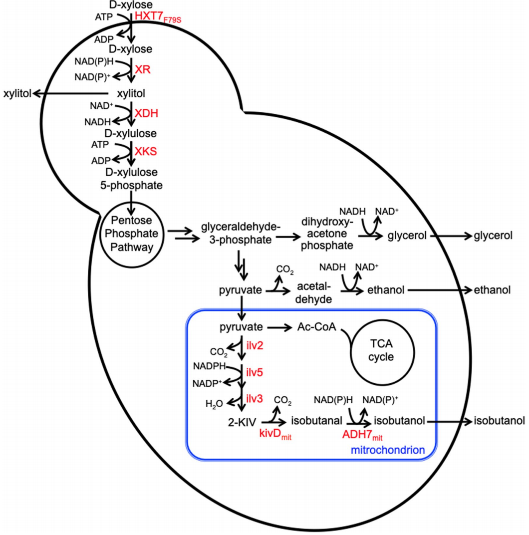 172906937523305897.png 图片34.png