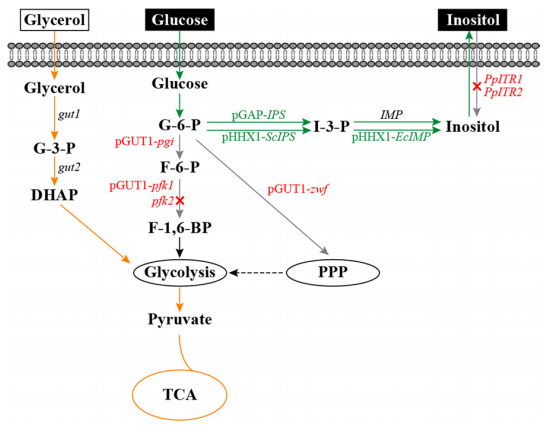 172906964420765356.png 图片35.png