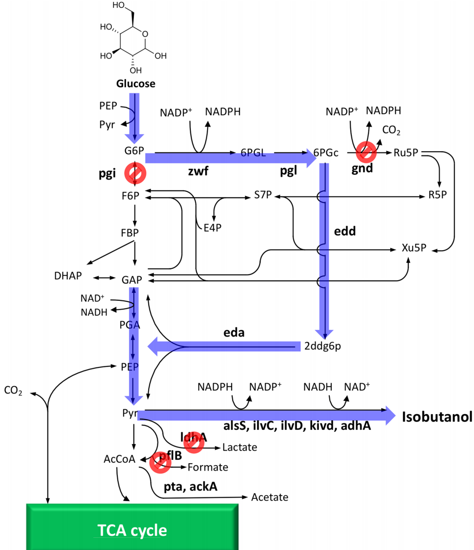 172906982728771053.png 图片36.png