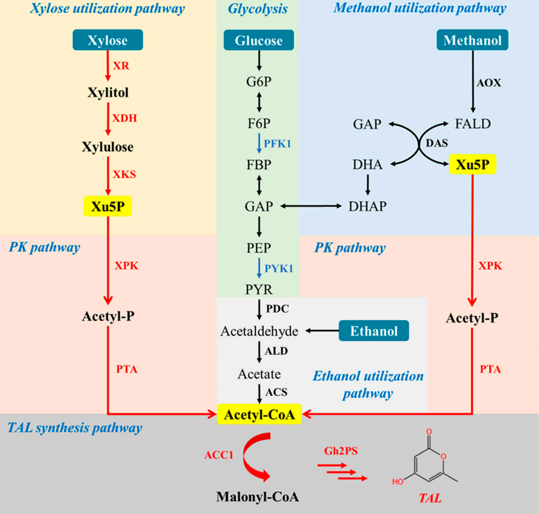 172907007993405740.png 图片38.png