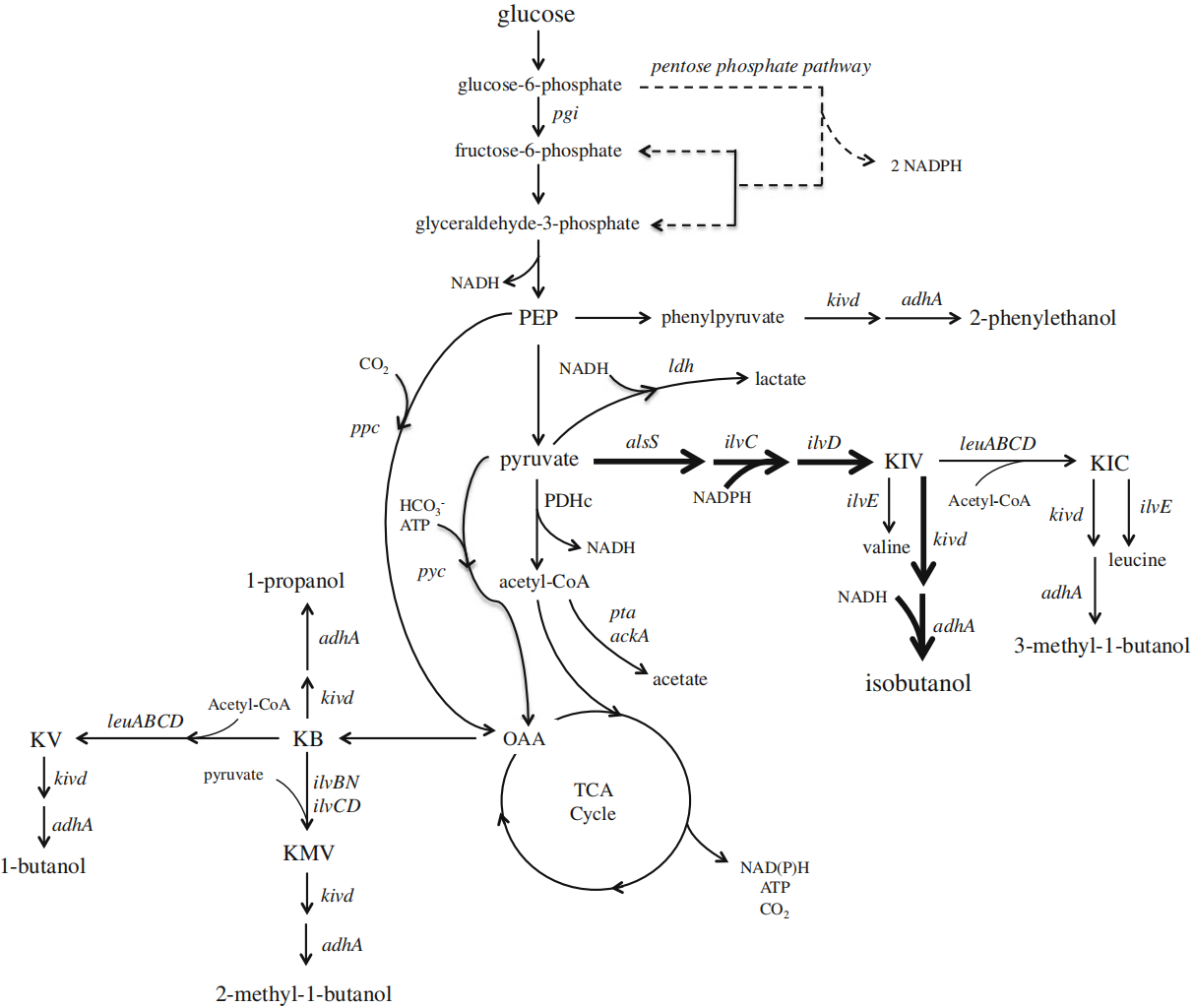 172907088967289013.png 图片43.png