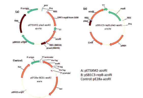 172947364068739860.png 图片4.png