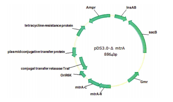 172947364437661985.png 图片5.png