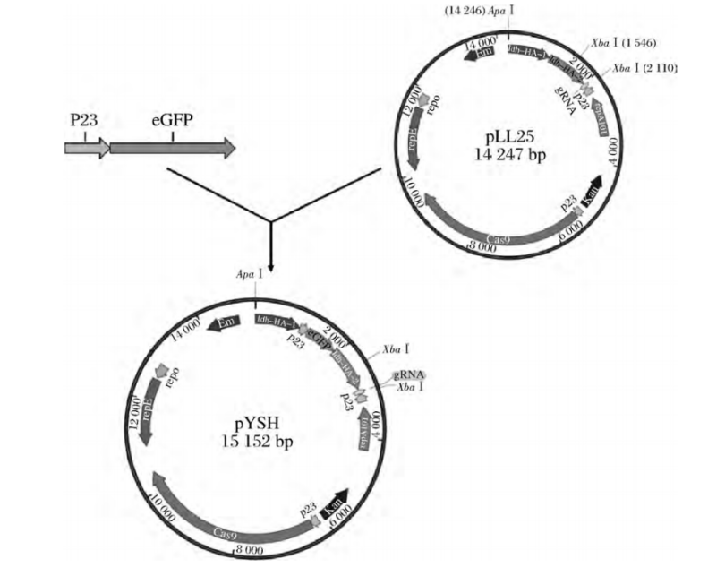 172947369989494218.png 图片6.png