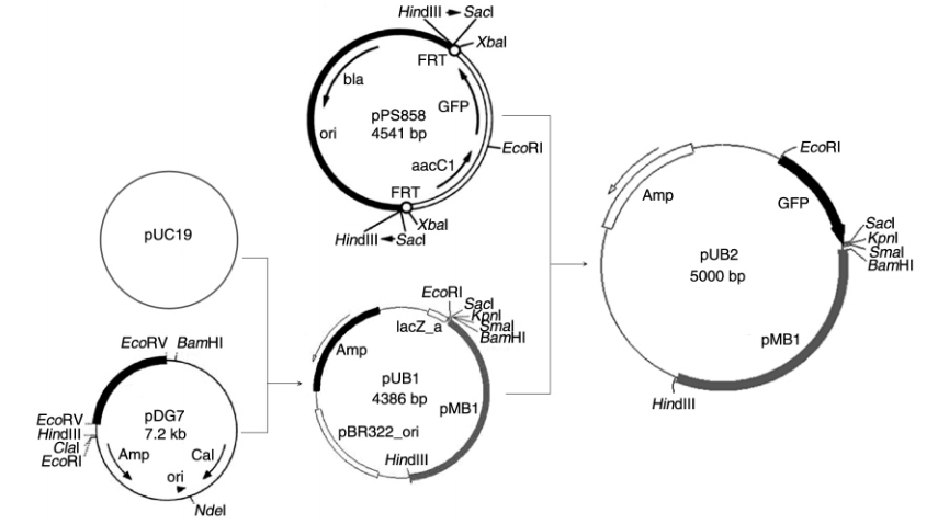 172947384134876152.png 图片7.png