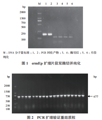 172947442149680234.png 图片8.png