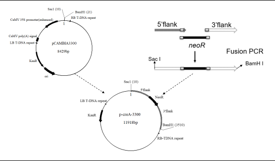 172947451867114919.png 图片10.png