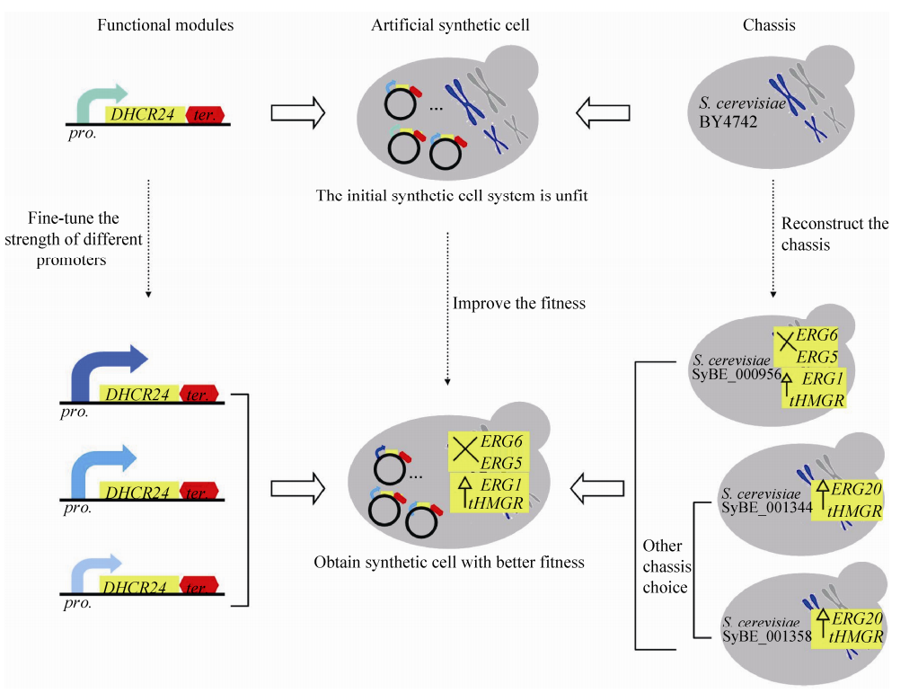 172947478091099622.png 图片12.png