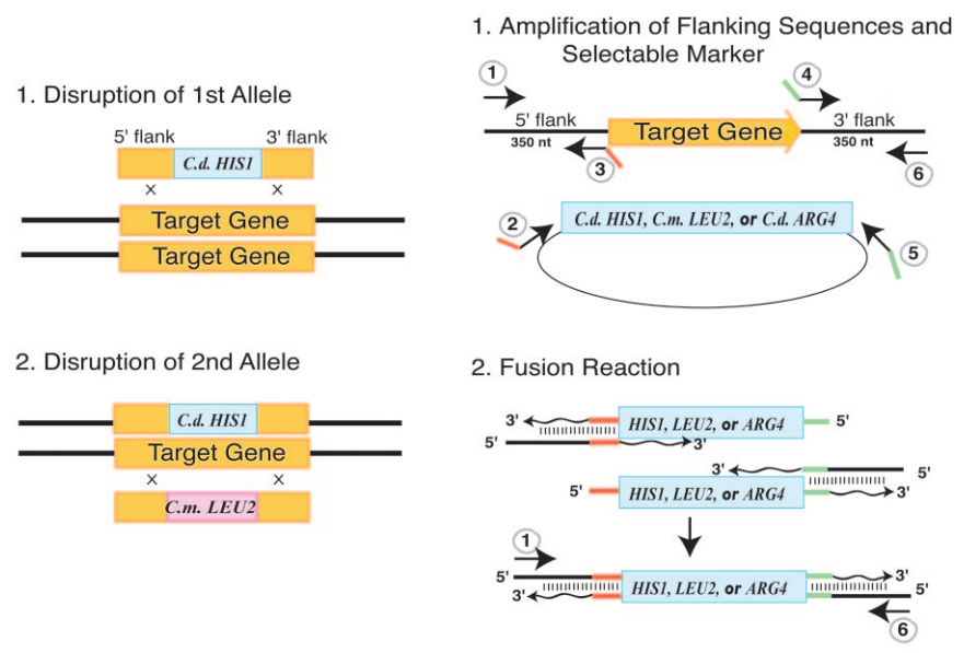 172947488853730005.png 图片13.png