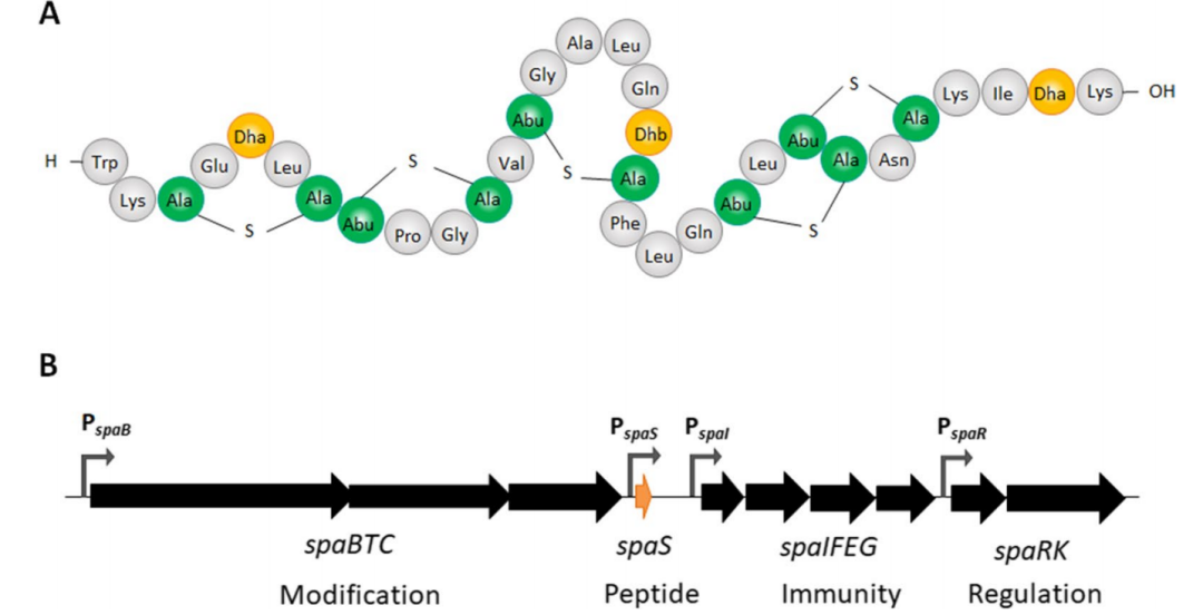 172947501445791909.png 图片15.png