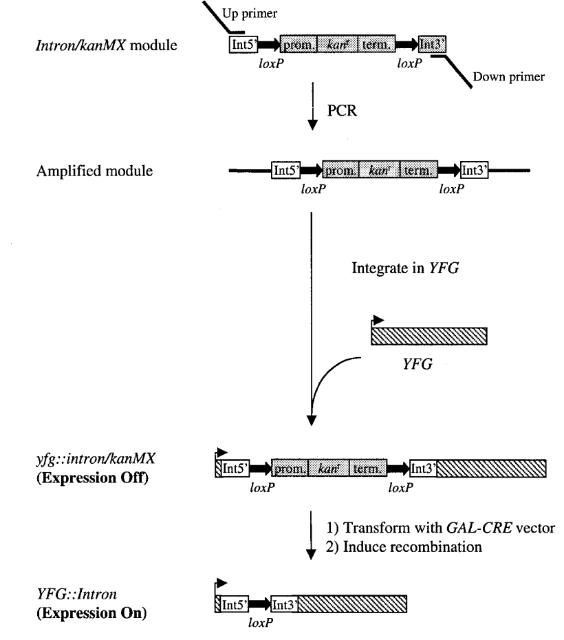 172947513944631803.png 图片17.png