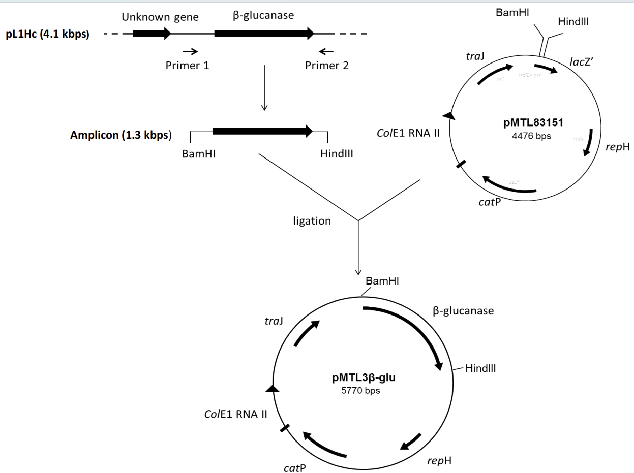 172947535470336239.png 图片19.png