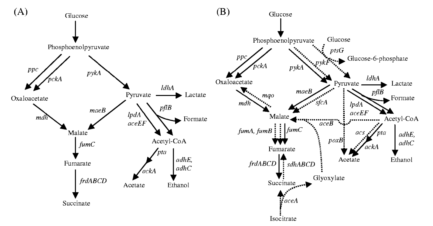 172947541057563446.png 图片20.png