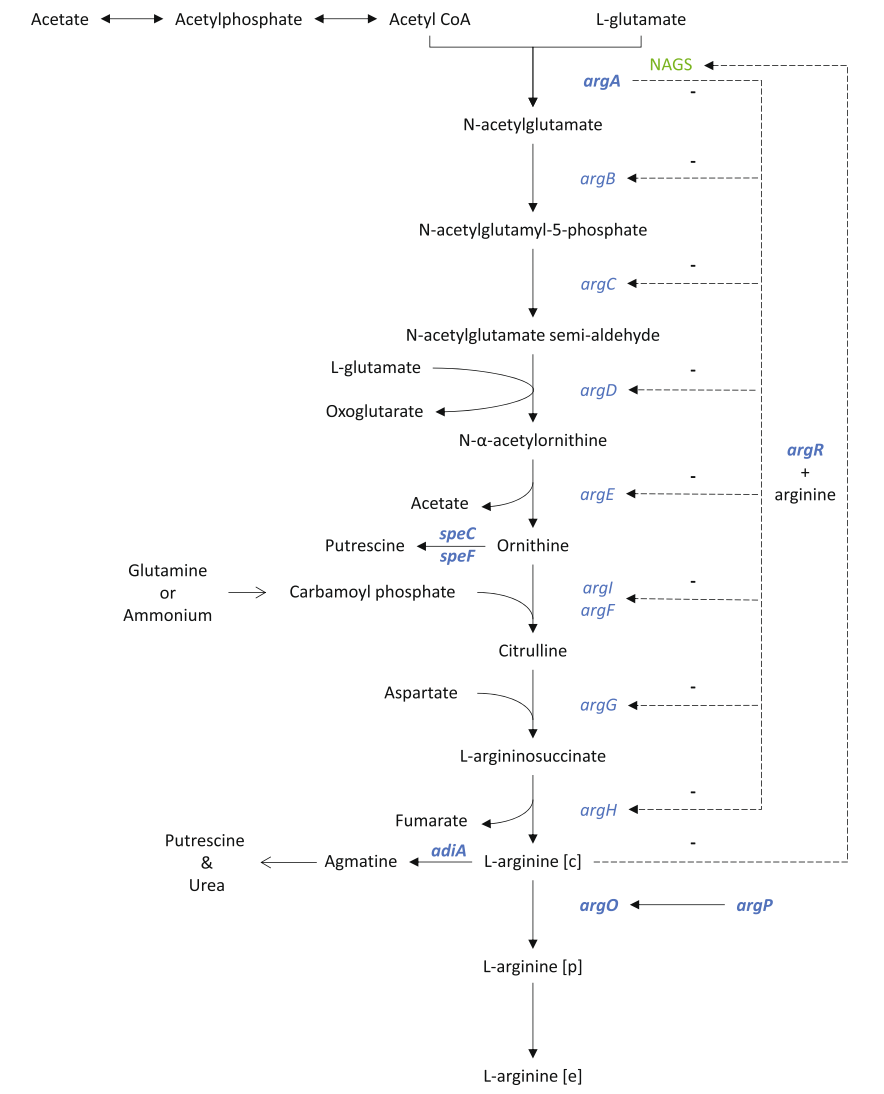 172947545040327642.png 图片21.png