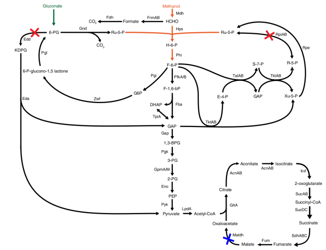 172947561870850114.png 图片22.png