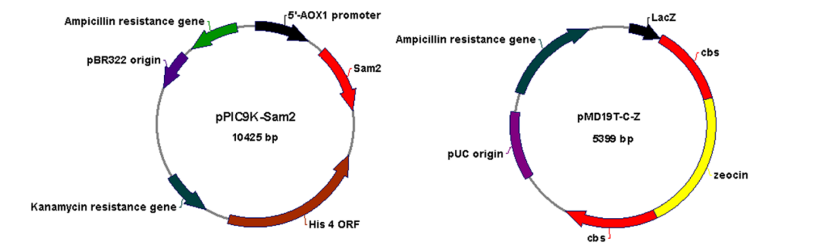 172947569598300033.png 图片24.png