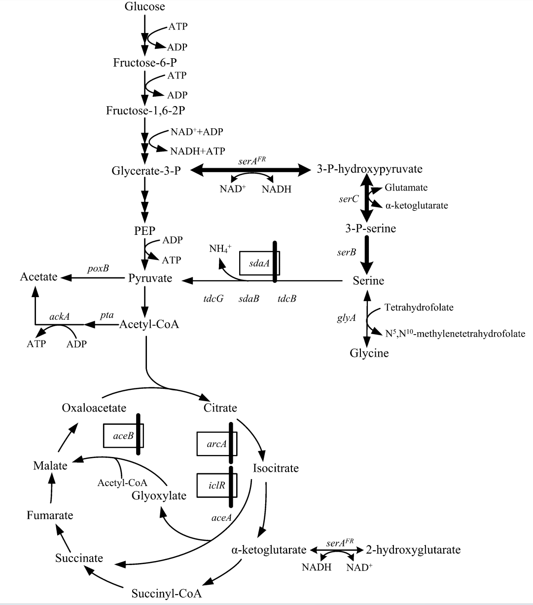 172947590035064050.png 图片26.png