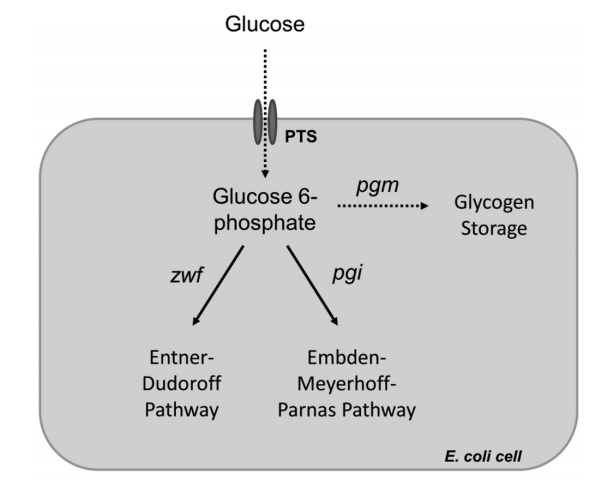 172947597689141026.png 图片28.png