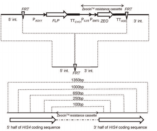 172947600920234660.png 图片29.png