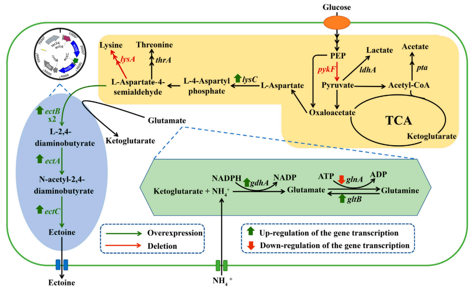 172947609794206725.png 图片31.png