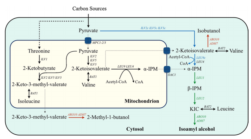 172947614161401092.png 图片32.png