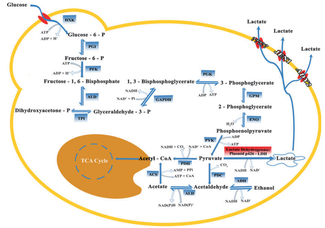 172947632048007361.png 图片34.png