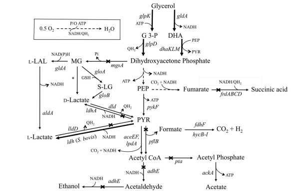 172947636393059010.png 图片35.png