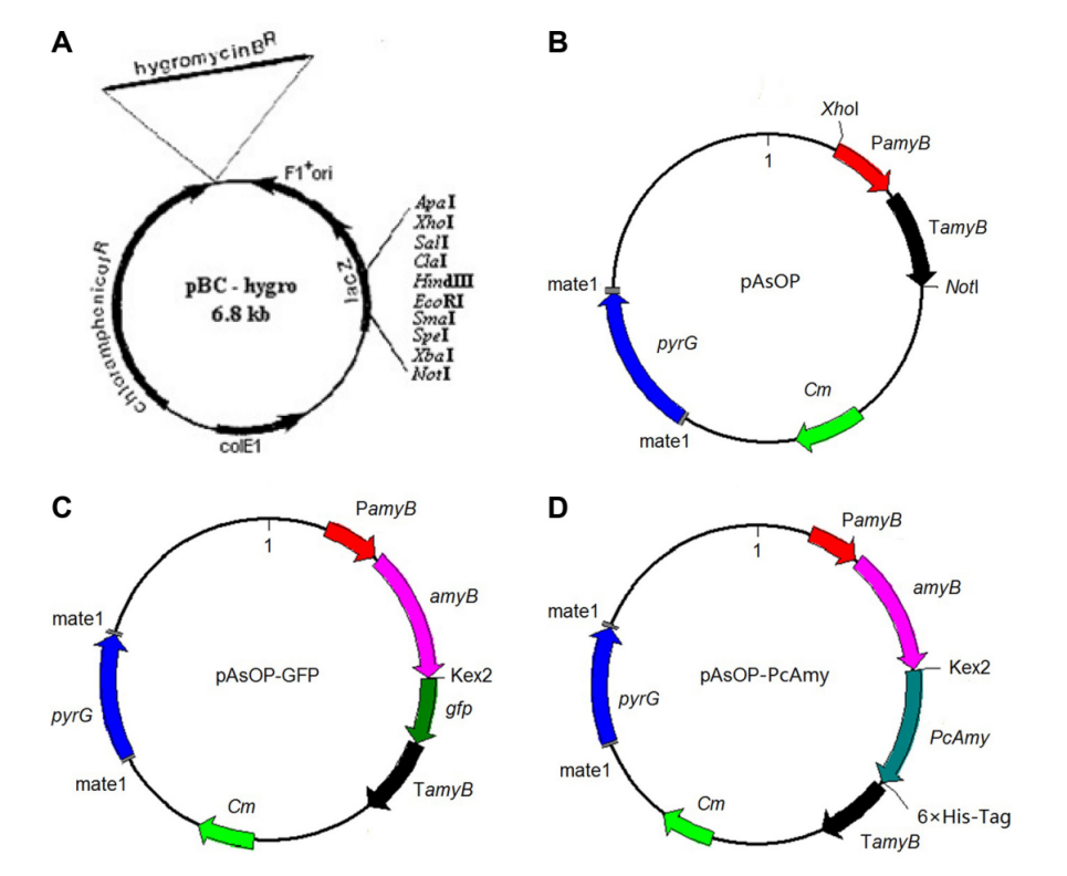 172947644354446741.png 图片36.png