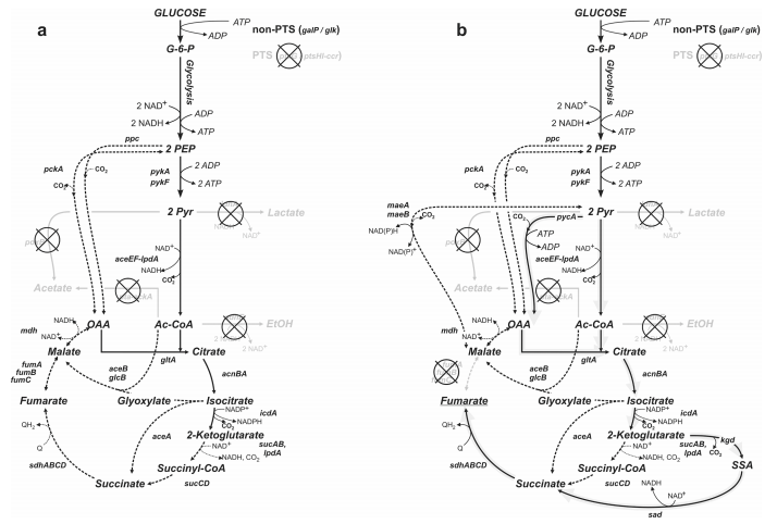 172947655356604094.png 图片37.png