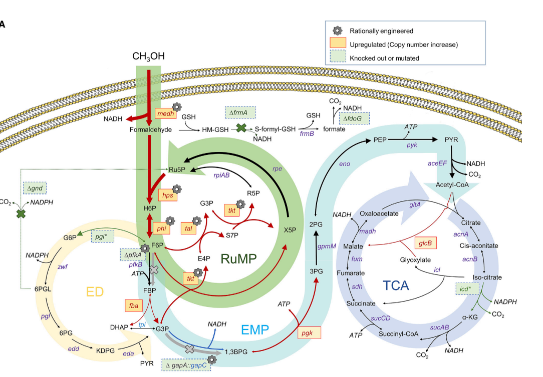 172947663254652277.png 图片38.png