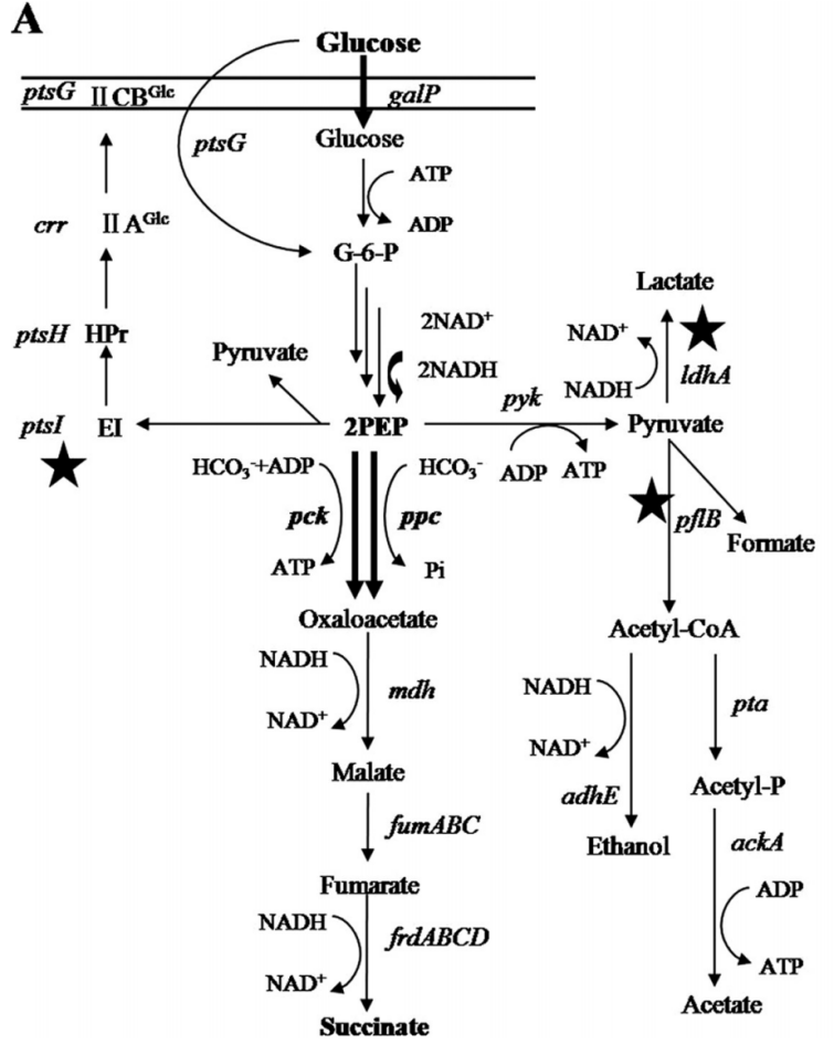 172947672314643760.png 图片40.png