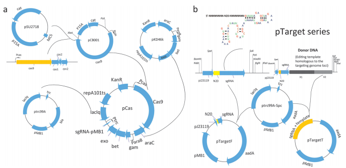 172947725131828138.png 图片46.png