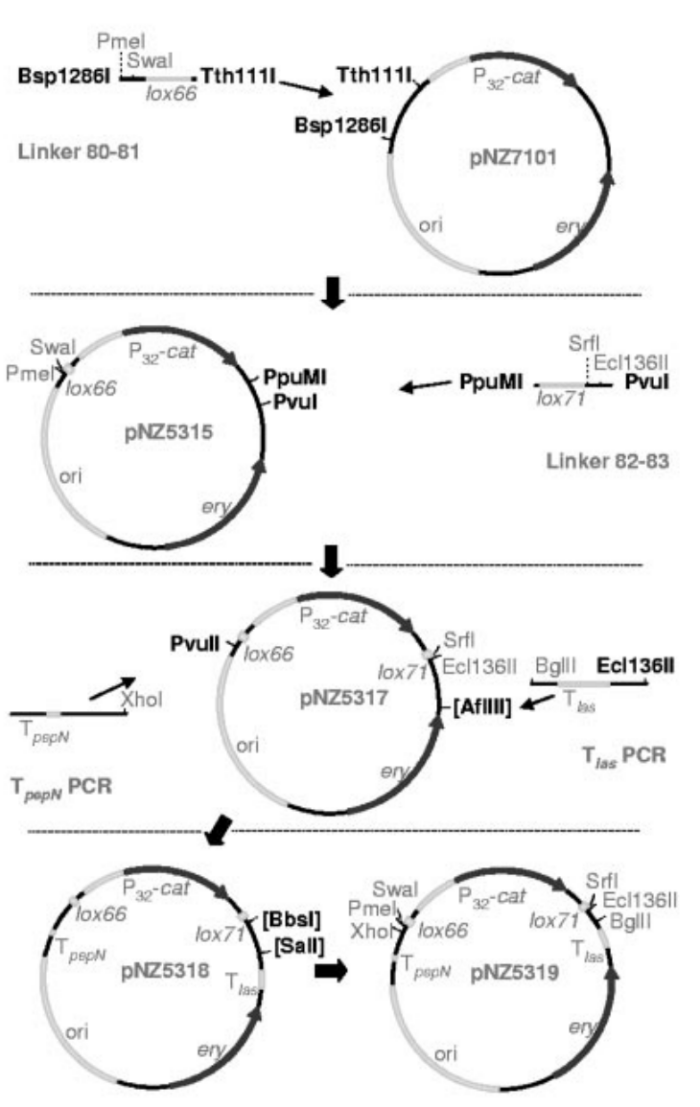 172947729339032646.png 图片47.png