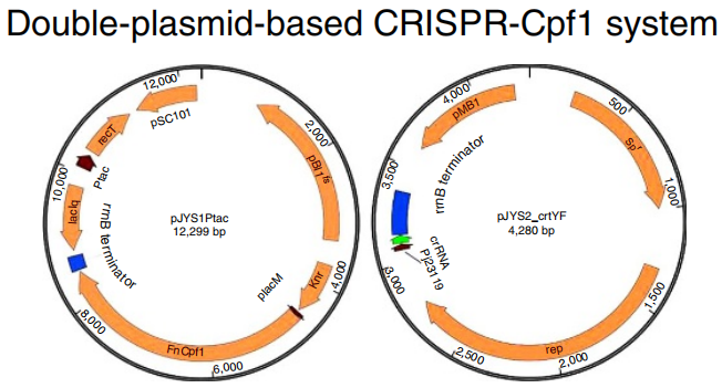 172947737370477220.png 图片49.png