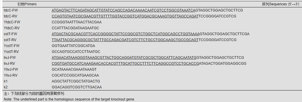 172947764691881809.png 图片56.png