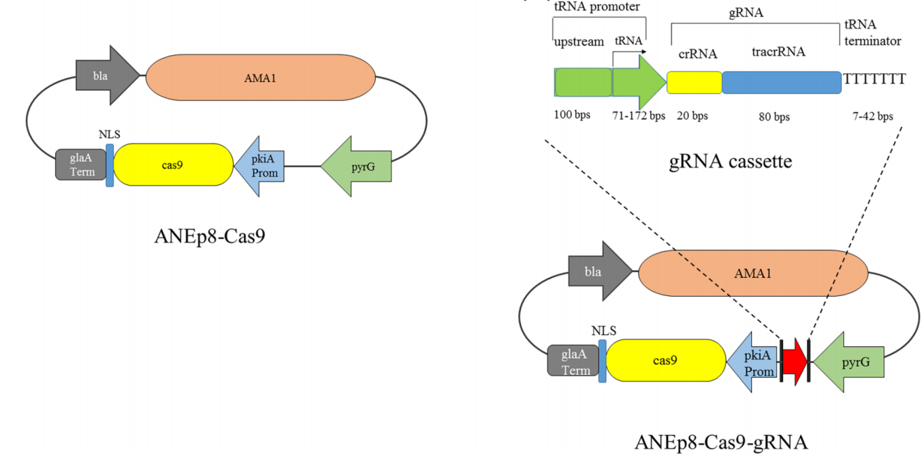 172947782867285546.png 图片60.png