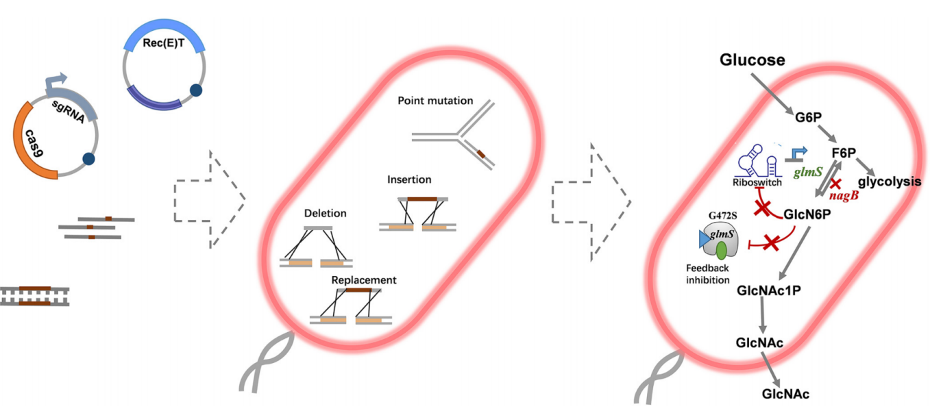 172947787380704265.png 图片61.png