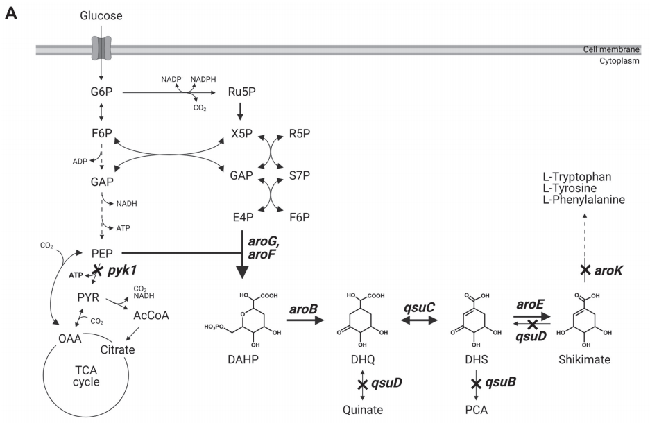 173018484520436859.png 图片63.png