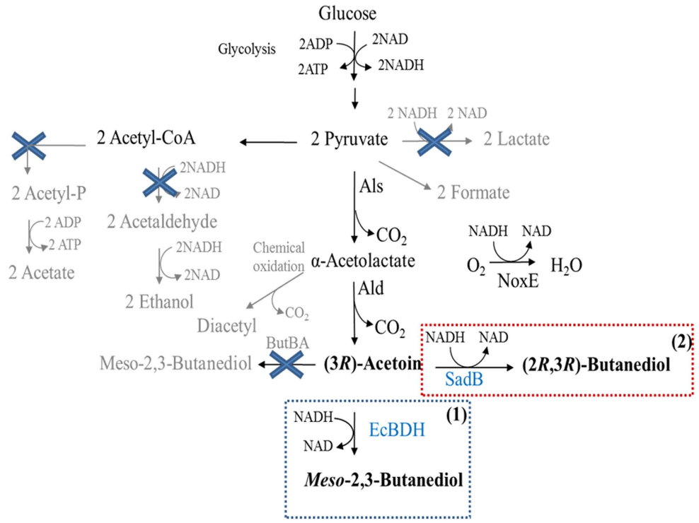 173018504445014600.png 图片64.png