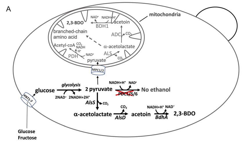 173018556637596360.png 图片65.png