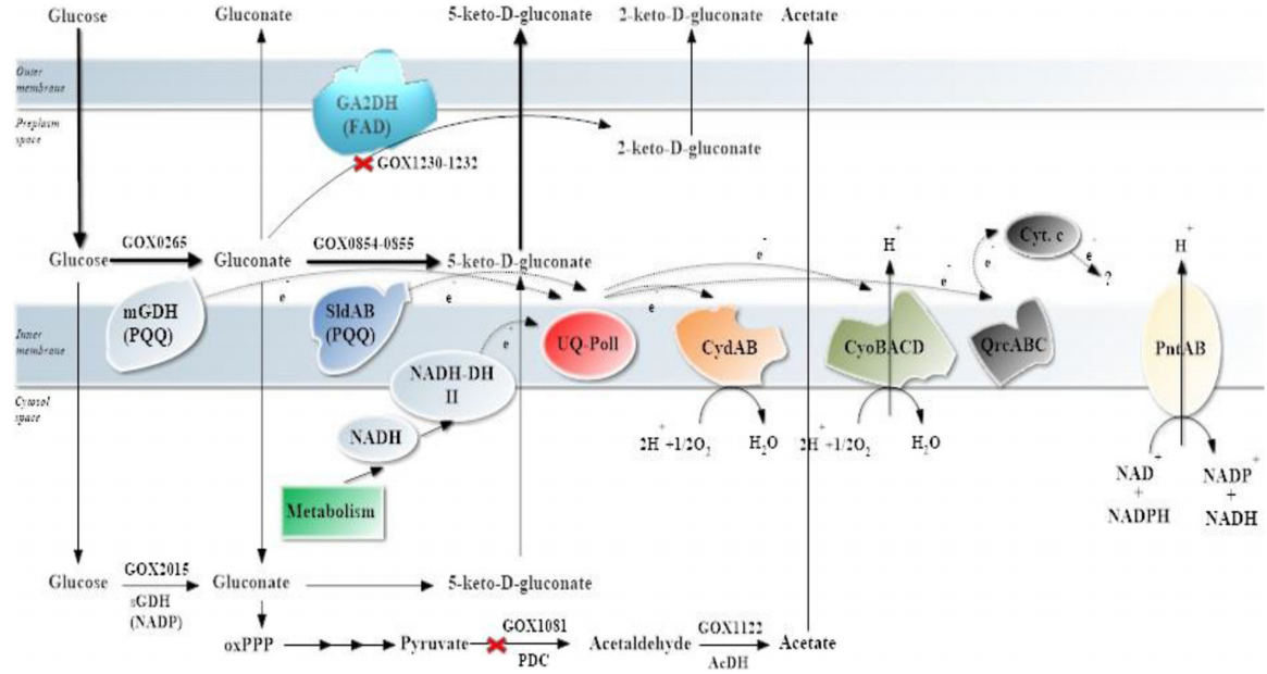 173018601894311512.png 图片69.png