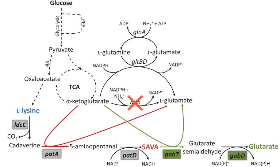 173018625015301547.png 图片71.png