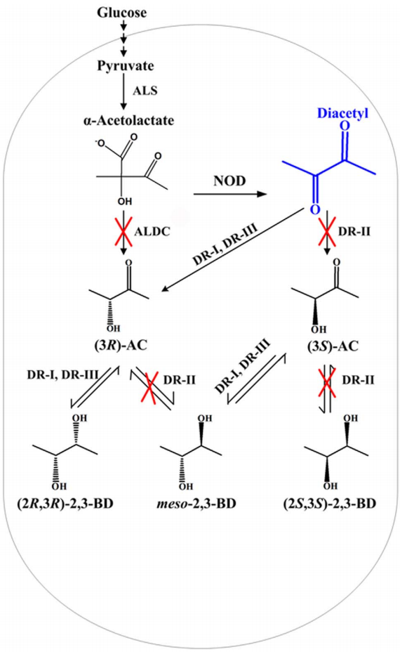 173018631713466856.png 图片72.png