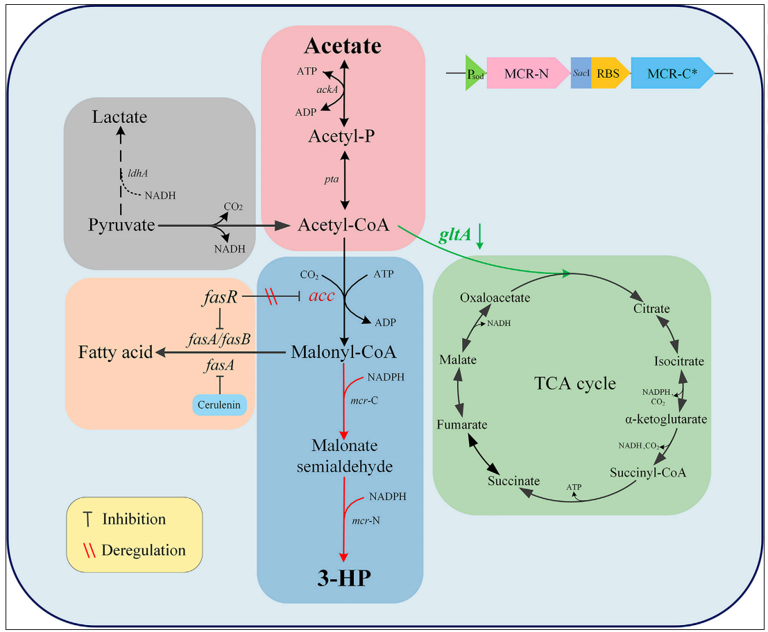 173018637052130685.png 图片73.png