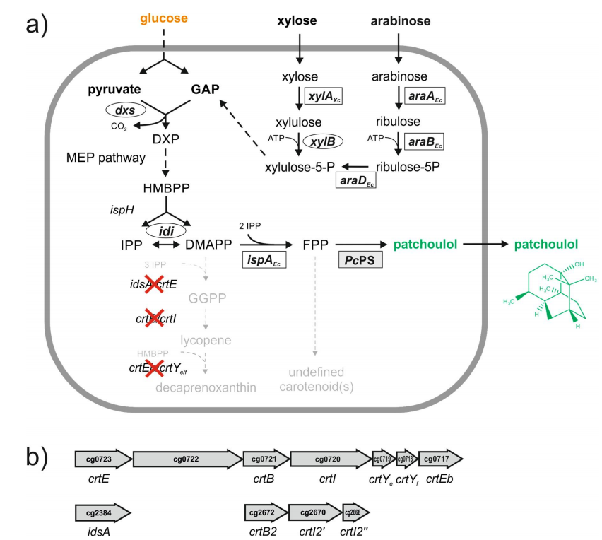 173018655143748017.png 图片76.png