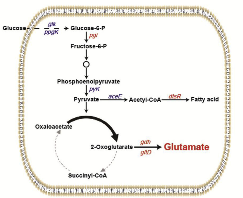 173018661078232949.png 图片77.png