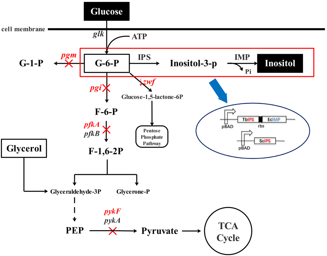173018676994131876.png 图片80.png