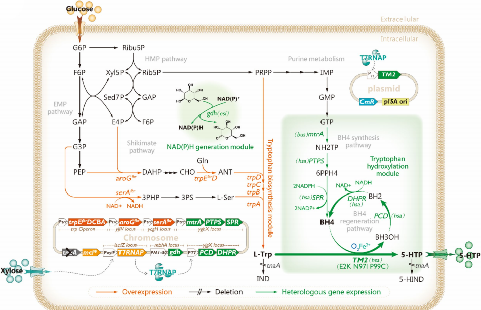 173018713210077406.png 图片81.png