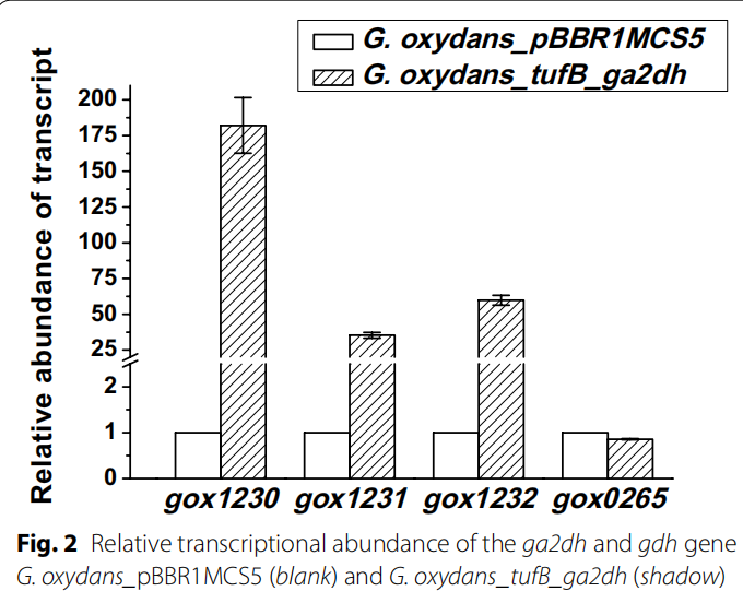 173018740980766014.png 图片83.png